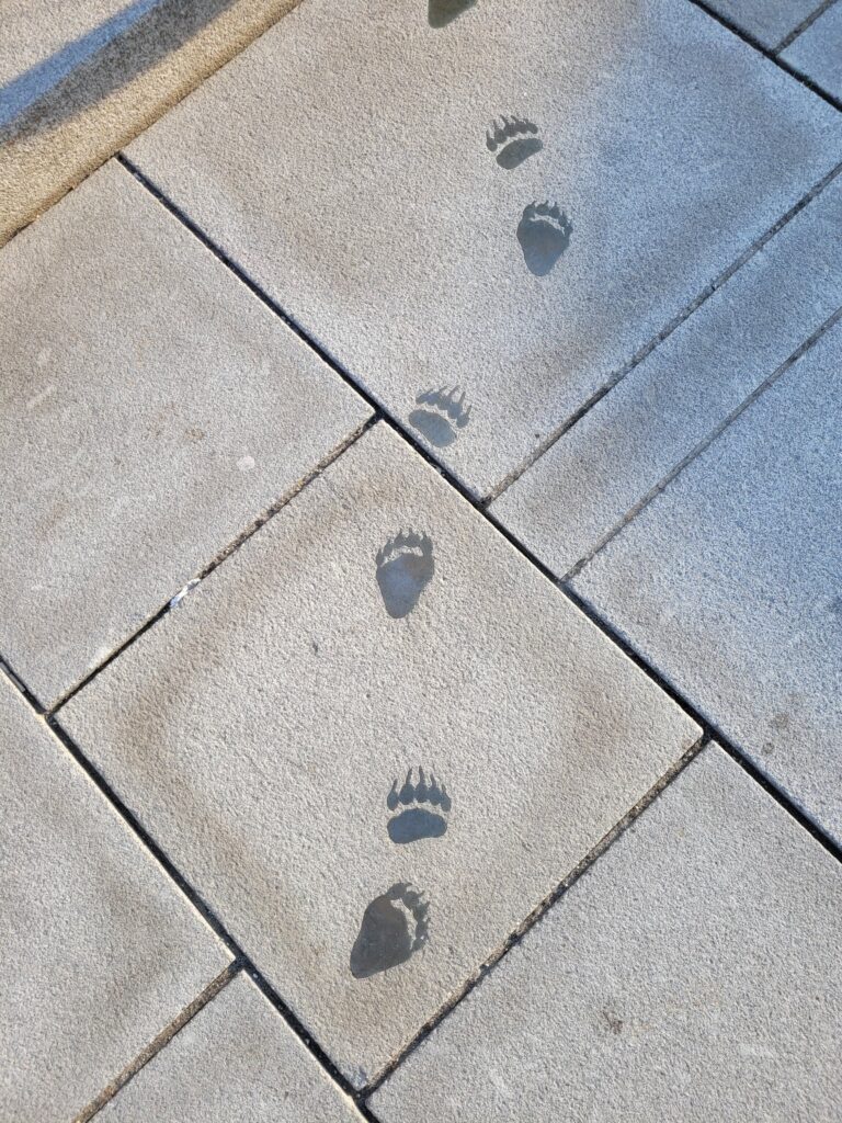 Link zu einem externen Ziel